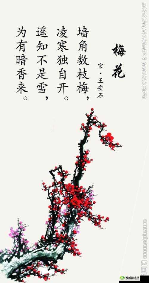 影之诗梅花战士卡牌全解析：资料图鉴与效果精彩点评