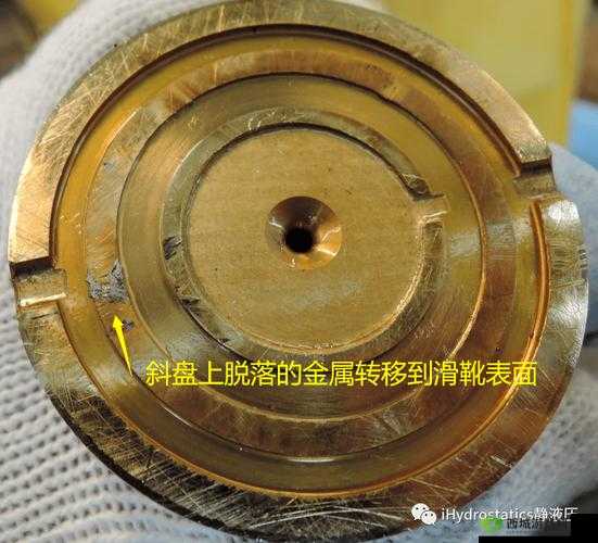 关于棕色尘埃埃尔多拉技能属性及综合评价的详细探讨