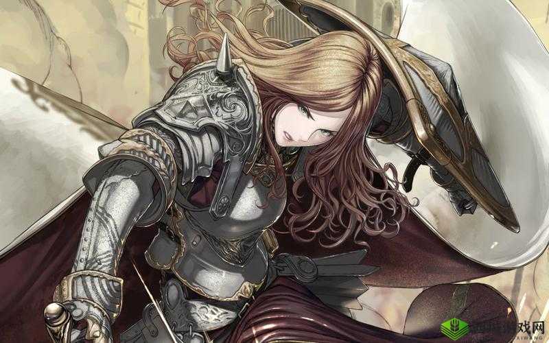 地下城堡 2 银骑士之盾获取地点及作用属性详细介绍