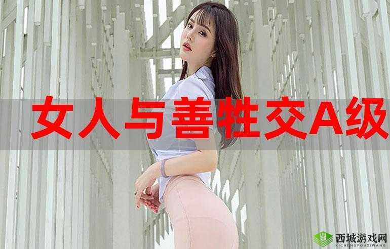 人与善交 XUANWEN18：以善交开启美好人生