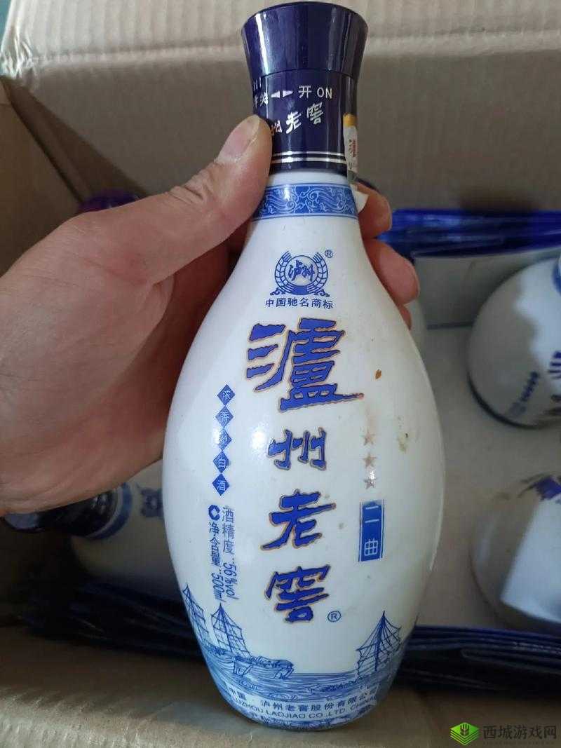 国产电影一曲二曲三曲:深度解析其魅力所在