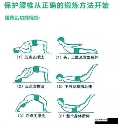 季医生教你趴着练腰背：轻松练出好腰背