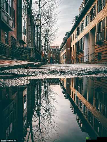 欧美高清 iphone：手机摄影的极致之选