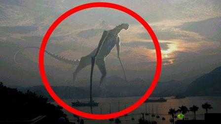 史小坑的烦恼 2 第 16 关 究竟哪个才是神秘的外星人呢