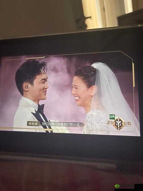 gogogo 是免费的还是仿?探讨其性质