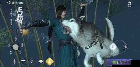 天涯明月刀手游丐帮带狗的神奇作用全解析