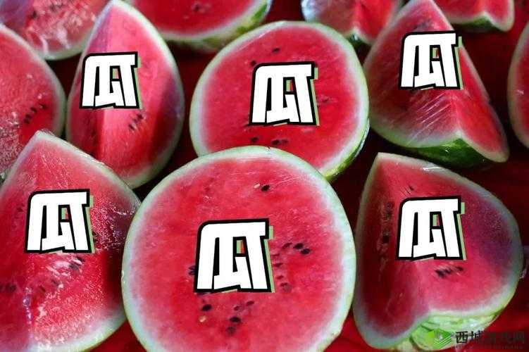 51 今日大瓜-热门大瓜之深度解析