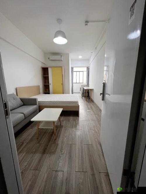 出租房里的交互深圳康健第二部:精彩延续