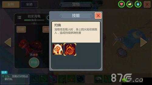 创造与魔法：火龟技能大揭秘，熔岩龟属性技能全览