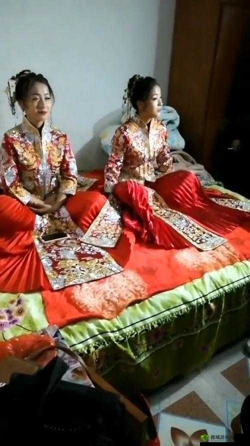 双胞胎姐妹齐上阵的观众评价如何：精彩纷呈