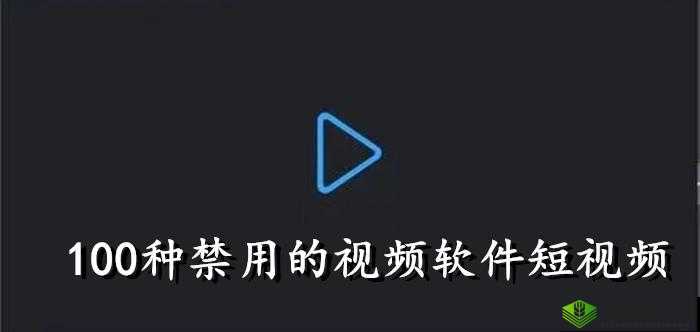100 种禁用的视频软件：成年人的世界你无法想象