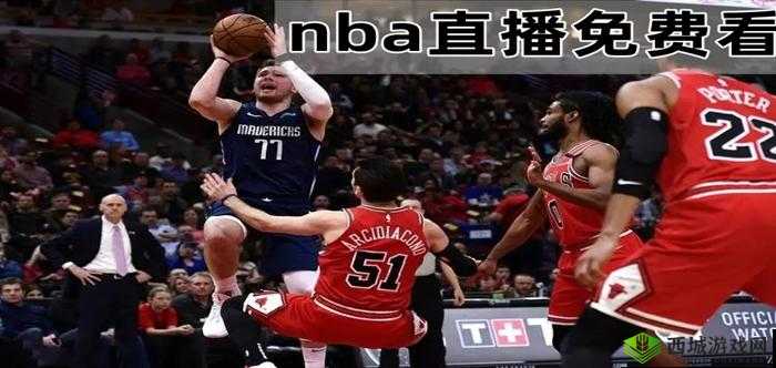 九一网站免费看nba:你想看的这里都有
