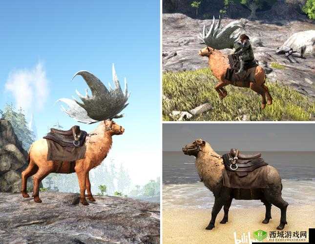 方舟生存进化：了解大角鹿的用途、饲料和分布