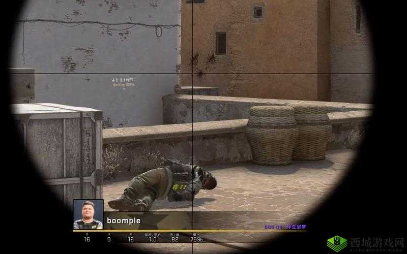 csgo 暴躁姐姐精彩瞬间：开枪爆头、精准狙杀
