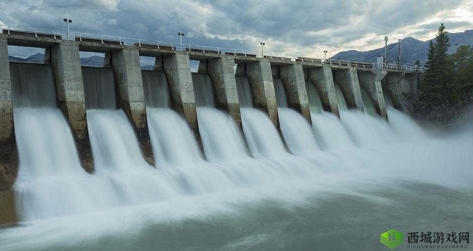 大BW毛毛多巨大BW大BW：令人惊叹的存在