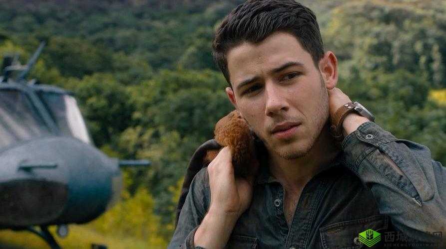 适合二人看的小电影南瓜：一部温馨的影片