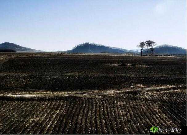 开垦母亲肥沃土地以谋发展