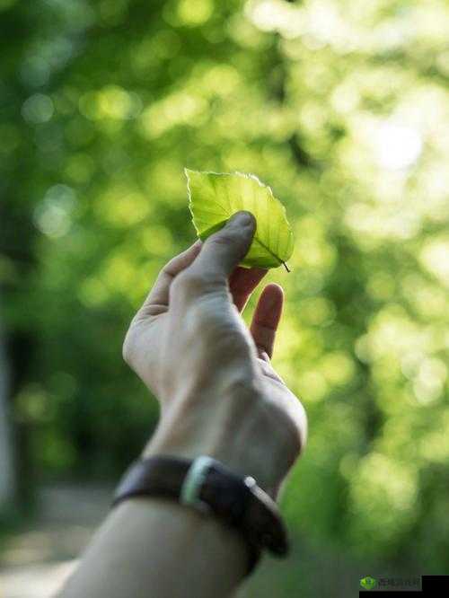 人善之交 z0ozo0d0g 人善宣布节约:点滴汇聚成河,节约从点滴开始