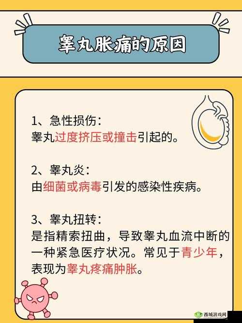 睾丸胀痛难忍，和女友在一起竟是原因
