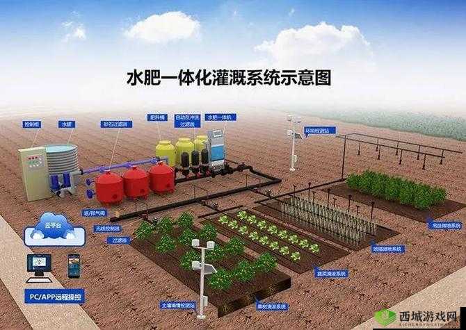 智能农业灌溉系统:提升水资源利用效率