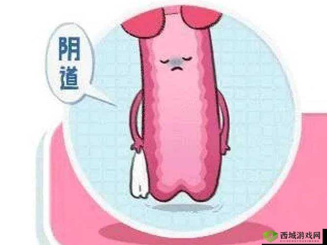 正常阴脣的样子照片视频要下架了：原因未知