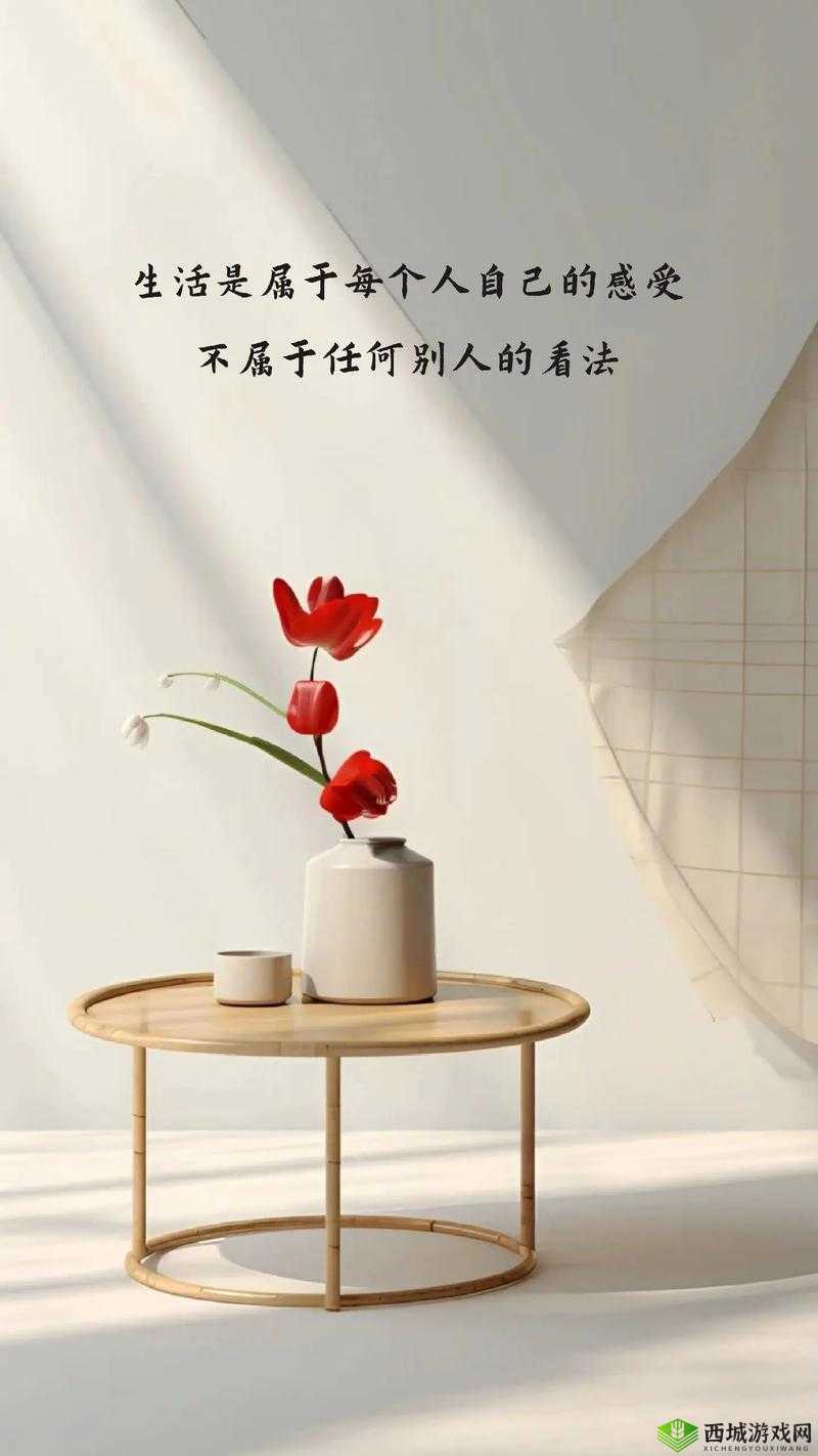 镜子里的我们：结合的模样