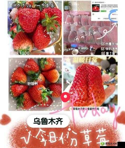 草莓传媒充值的钱能退回来吗:相关探讨