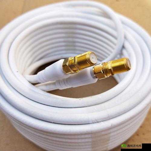 有线高清电视线 SYWV7：优质传输的不二之选