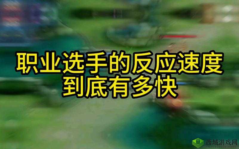 这么快就有反应了:惊人速度