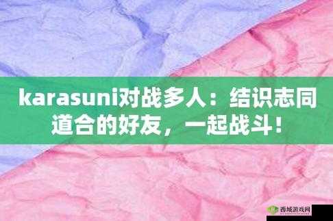 karasuni 多人对战视频破解了：在线畅玩