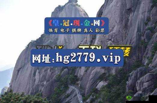 未满十八岁如何开通 PAYPAL:解决方法