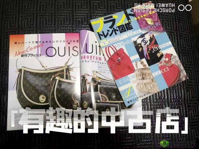 探秘 LV 日本官网官方网站中文版详细解读