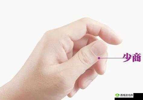 新手找不到入口准确位置：怎么办