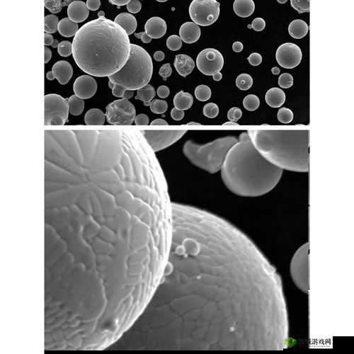 太久 ta19:开启新征程