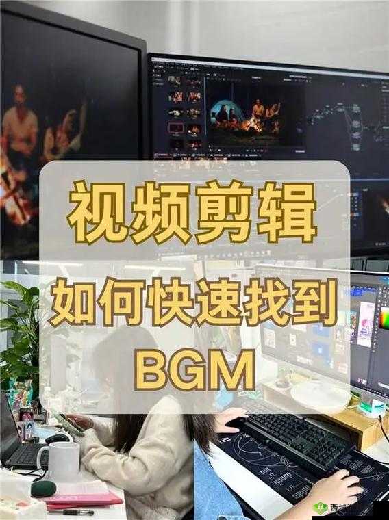 如何寻找免费的视频 bgm 大全:实用方法分享