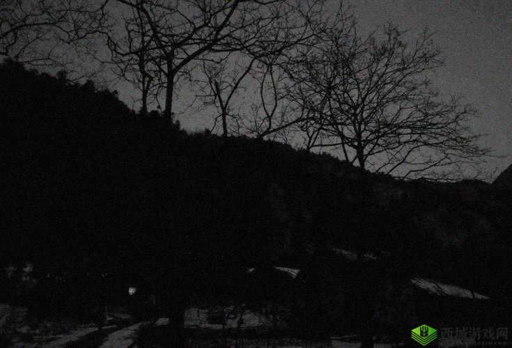 半夜装睡配合孩子阴阳调和短故事:有趣经历