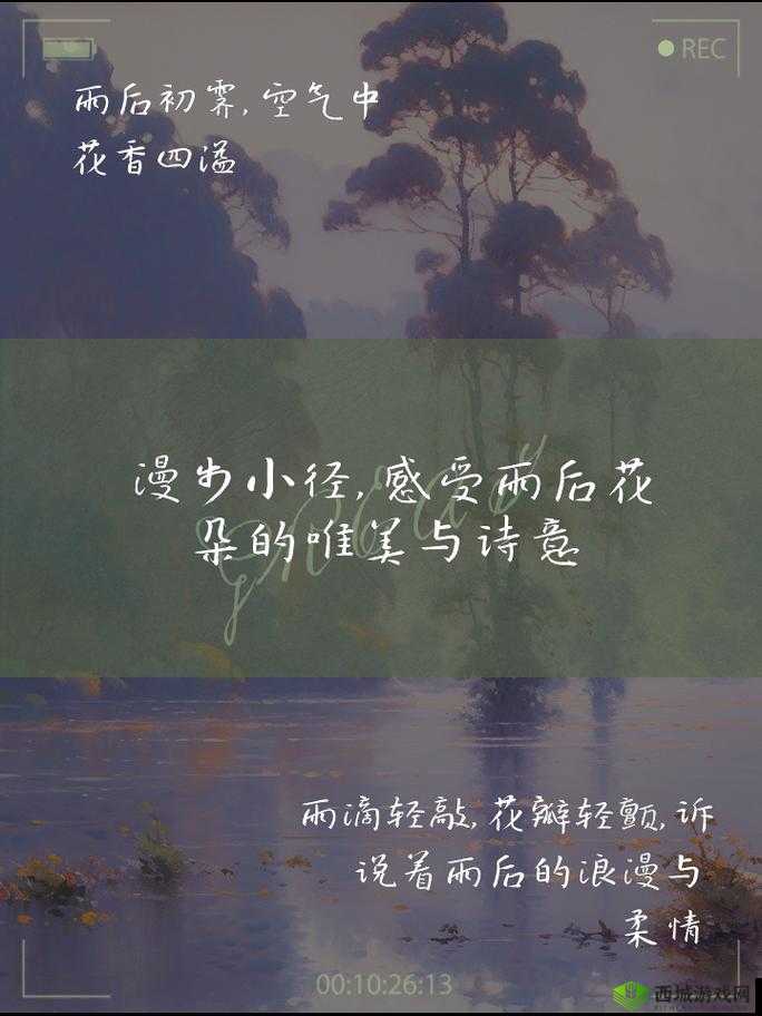 头埋在我花丛里:一段浪漫的邂逅