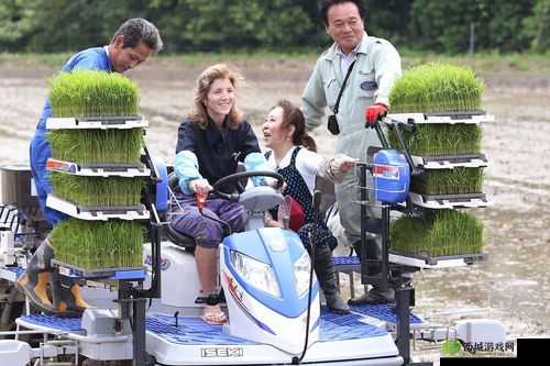 外国情侣插秧方法:独特的农田劳作方式