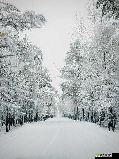 把佛珠一个一个挤出去啊哈:挑战极限的动作