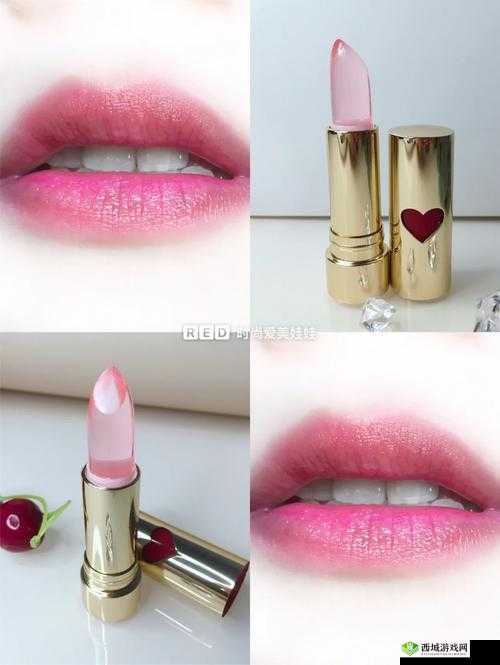 YSL 千人千色 AE86V9 详细特点:色彩丰富多样