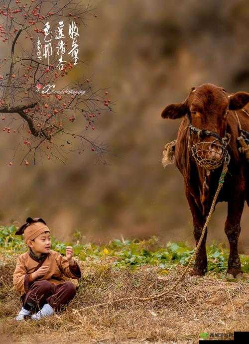 天刀手游魁牛牧童打法详解：轻松攻略必备技巧