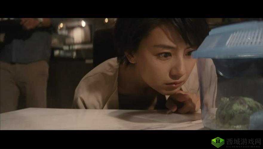 单身男女免费观看国语高清：邂逅浪漫爱情