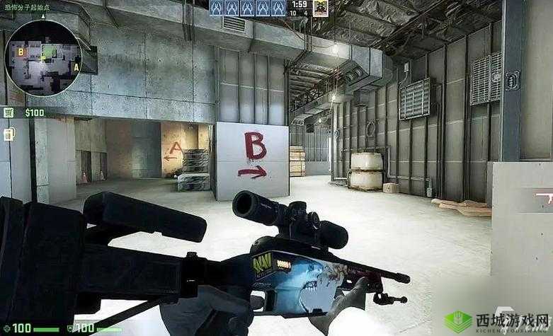 揭秘暴躁老阿姨 csgo 技巧：老阿姨的游戏秘籍