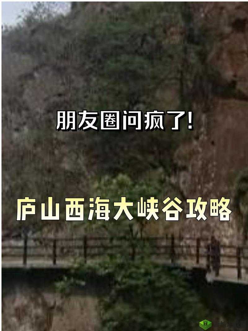 77 网站：独特体验等你来
