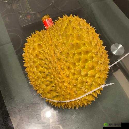 榴莲视频色斑让你流连忘返：如此迷人