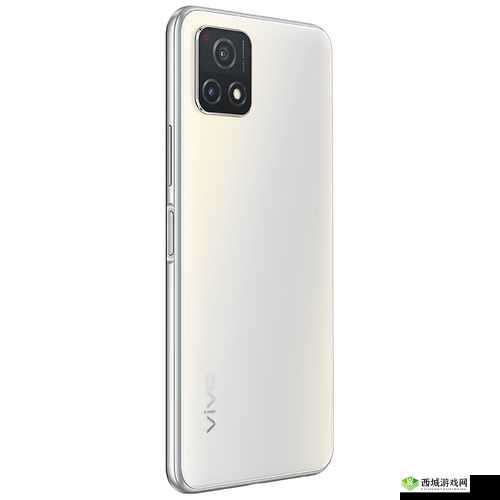 一级成色好的 y31s 标准版图片:展示其风采