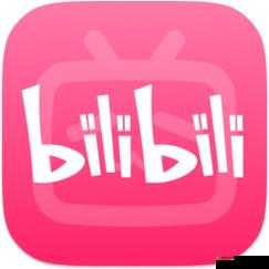 免费进入 B 站哔哩哔哩的好处:丰富体验与便捷获取