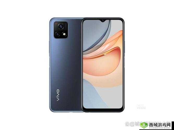 探寻成色好的 Y31S 标准版下载自每日视频后热度暴涨：现象背后的秘密