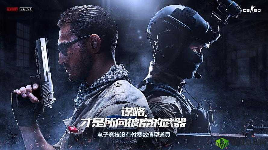 暴躁老姐的 csgo 心得分享视频-带你领略不一样的游戏世界