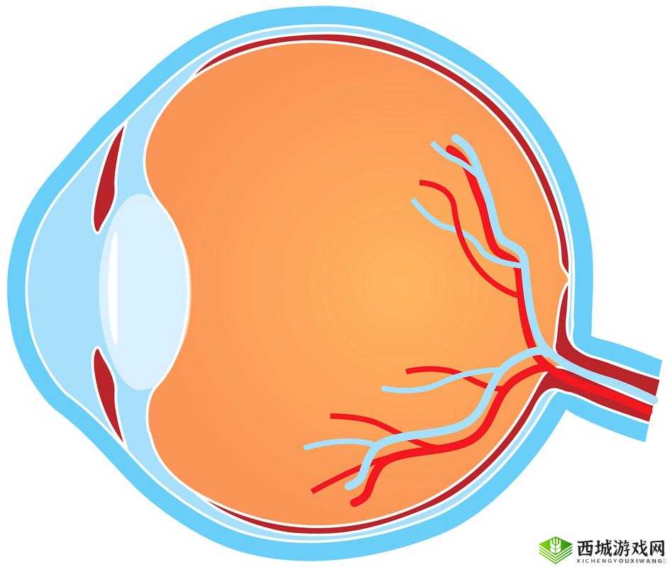 小洞需要大肉肠塞得满满的：探索其中奥秘